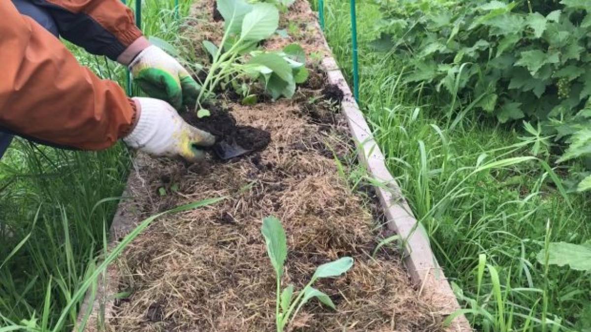 Народне свято 18 травня: звичаї, прикмети, поради дня