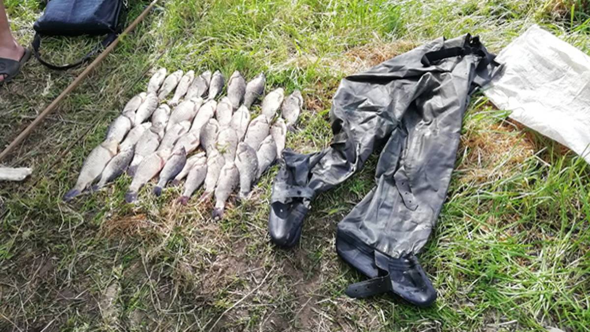 На Запоріжжі браконьєри лише за добу завдали збитків рибному господарству майже на 116 тис. грн