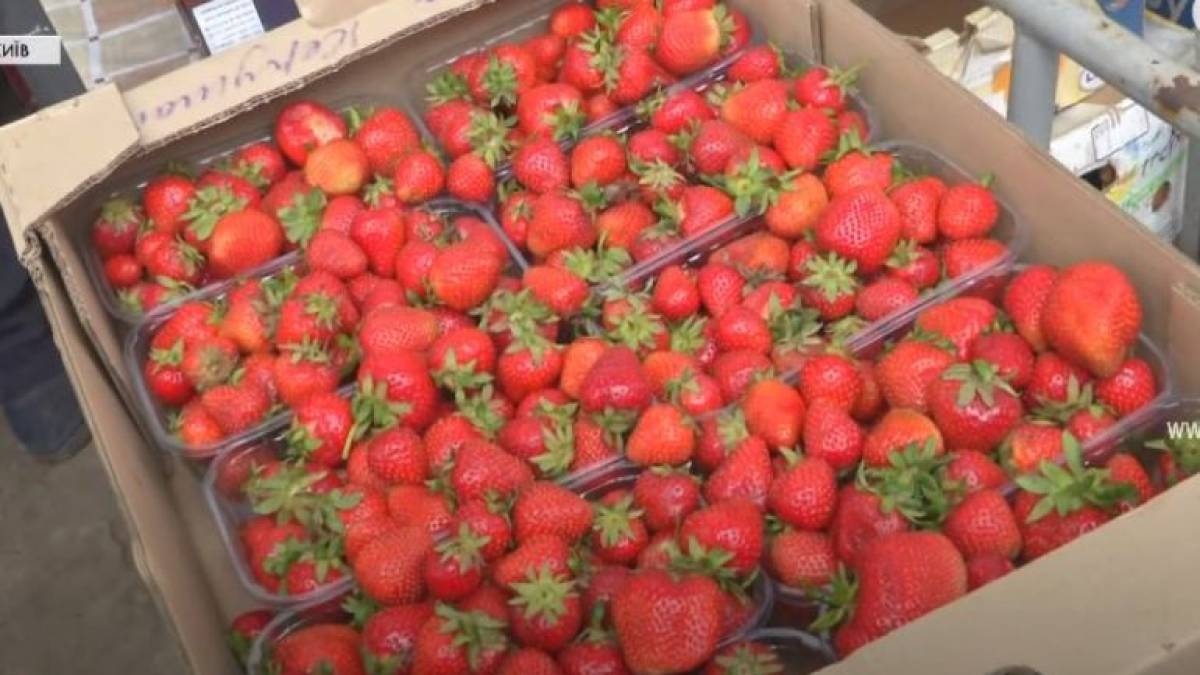 У Запоріжжі вдвічі подешевшала суниця-полуниця