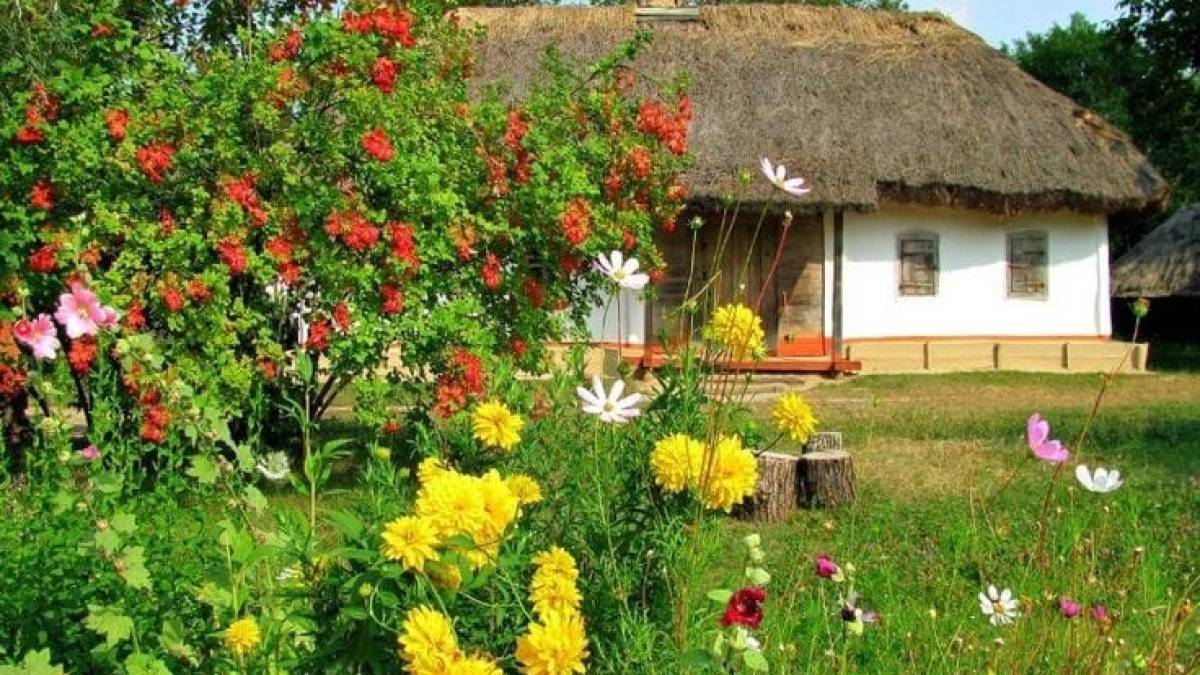 Народне свято 25 травня: звичаї, прикмети, поради дня