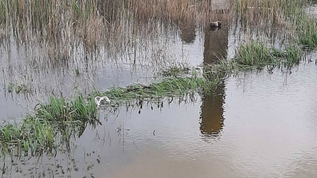 У громаді під Запоріжжям затопило приватні будинки, фото