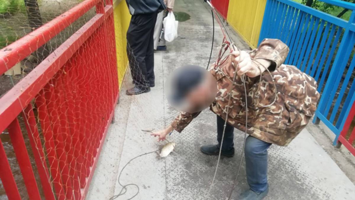 Цього тижня на Запоріжжі вдалося попередити збитки рибному  господарству майже на 173 тис. грн