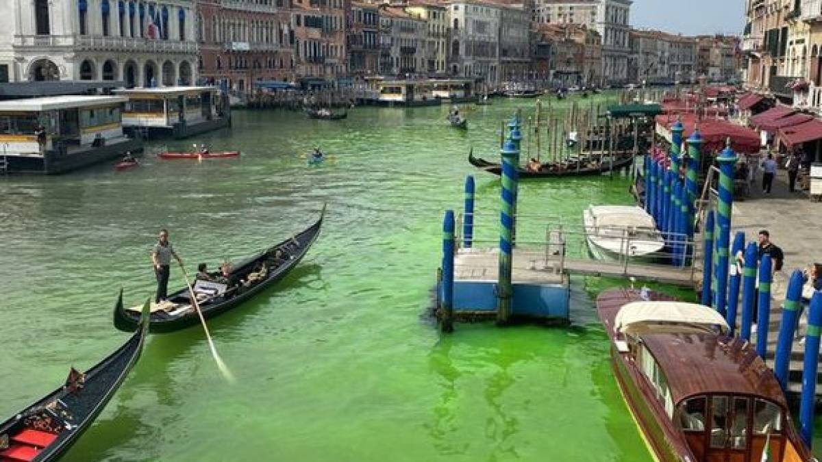 Венеція: вода Гранд-каналу стала зеленою