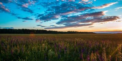 30 травня. Цей день в Україні та світі  – День степу
