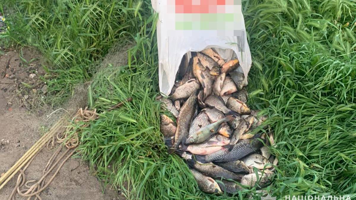 У Запоріжжі чоловік “павуком” наловив риби на великий штраф