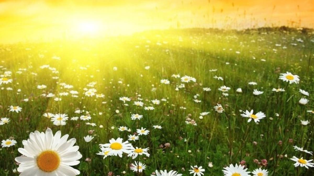 Якою буде погода в Запоріжжі 4 червня: прогноз