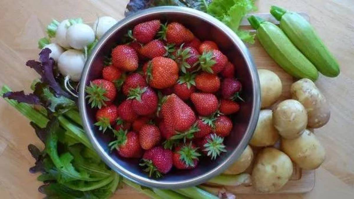 Як не отруїтися нітратами при вживанні ранніх овочів та фруктів