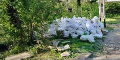 У Запоріжжі ліквідують несанкціоновані сміттєзвалища
