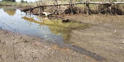 У Каховському водосховищі та Дніпрі продовжує знижуватись рівень води