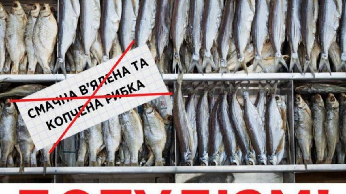 Запоріжців попереджають: вживання загиблої риби небезпечне для здоров’я!