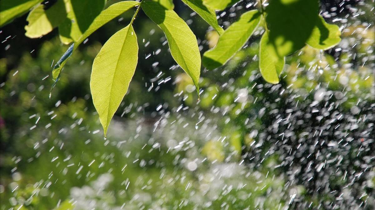 Якою буде погода в Запоріжжі на вихідних 10-11 червня: прогноз