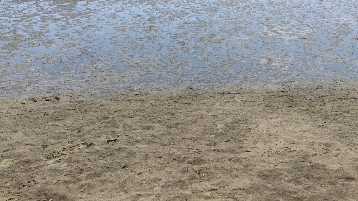 У ЗОВА повідомили про рівень води в Дніпрі, стан ЗАЕС та забезпечення питною водою
