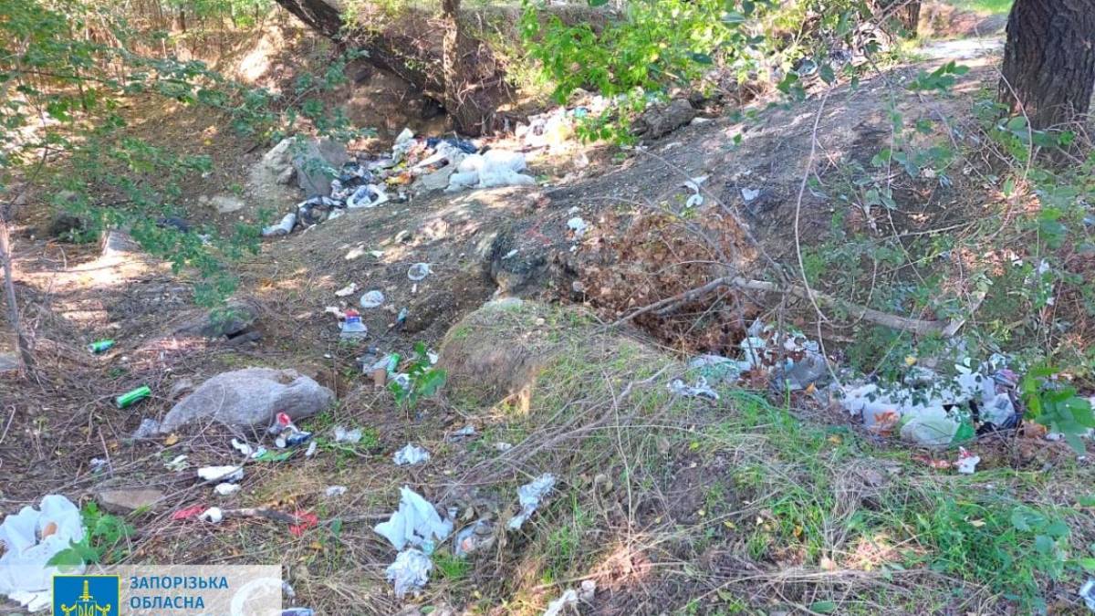 У Запоріжжі прокуратура cудиться за землі на березі Дніпра вартістю 280 млн грн