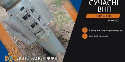 На Запоріжжі сапери вилучили бойову частину ударного дрону «Shahed»