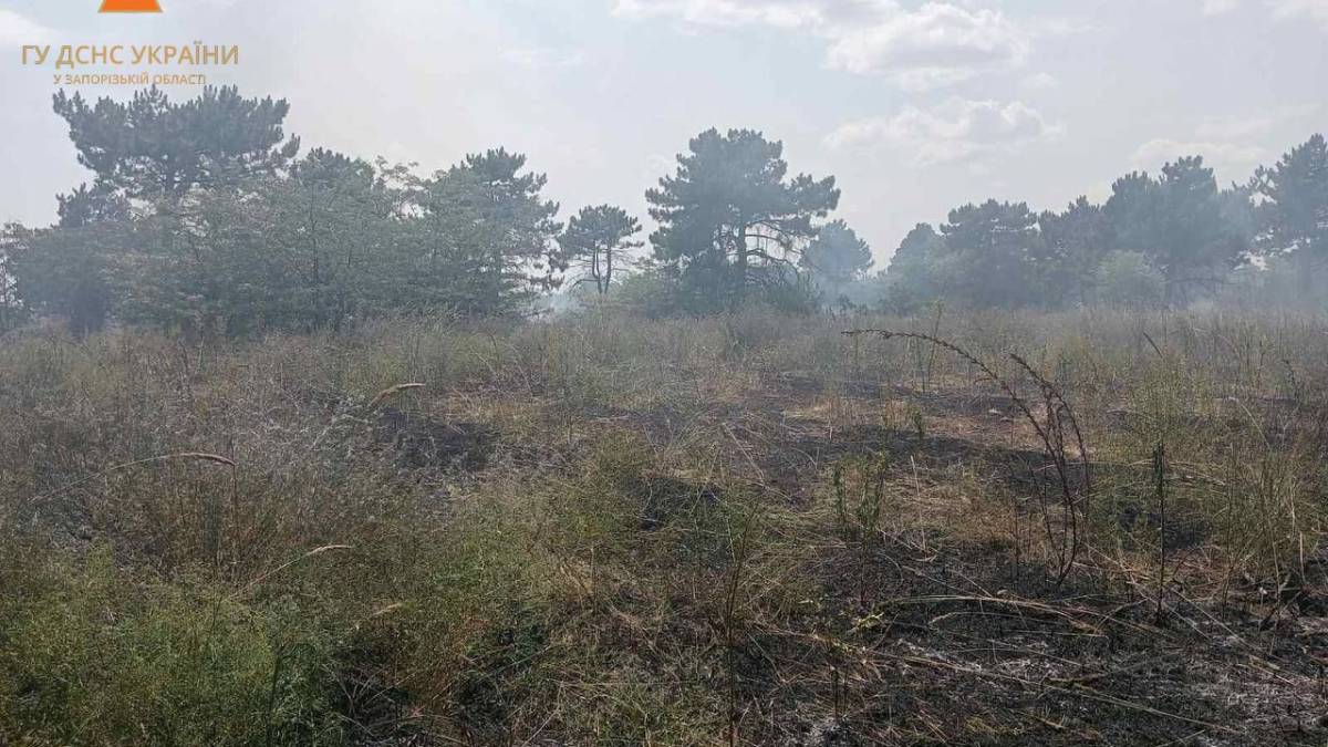 У Запорізькому районі горів ліс