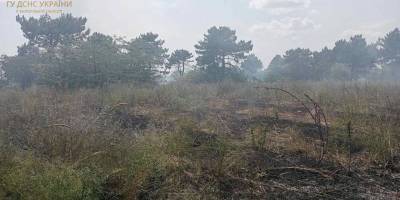 У Запорізькому районі горів ліс