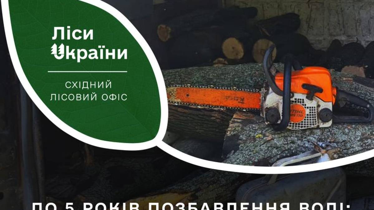 На Запоріжжі спіймали “чорних лісорубів”