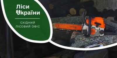 На Запоріжжі спіймали “чорних лісорубів”