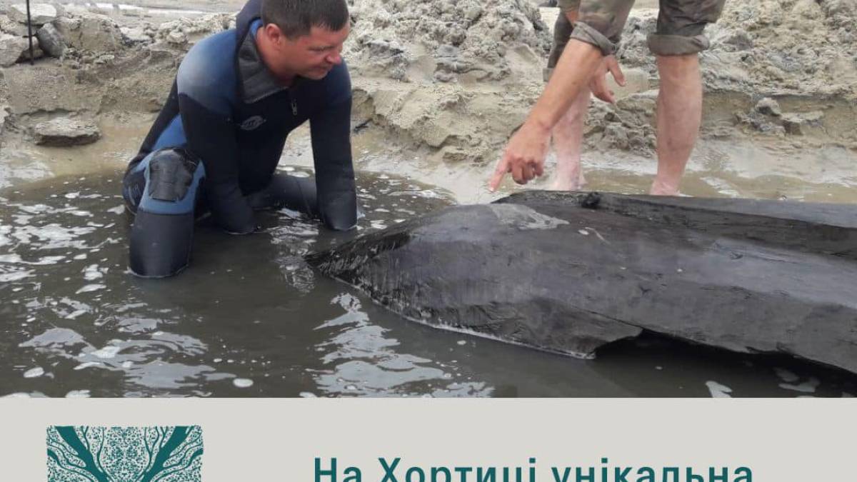У заповіднику “Хортиця” нова знахідка: унікальний човен, якому кілька сотень років (фото)