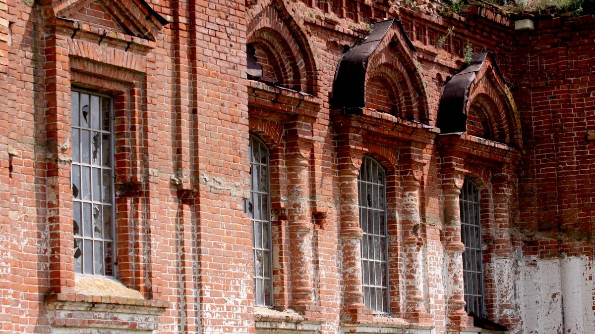 Старо-Бердянське лісництво чекає на звільнення