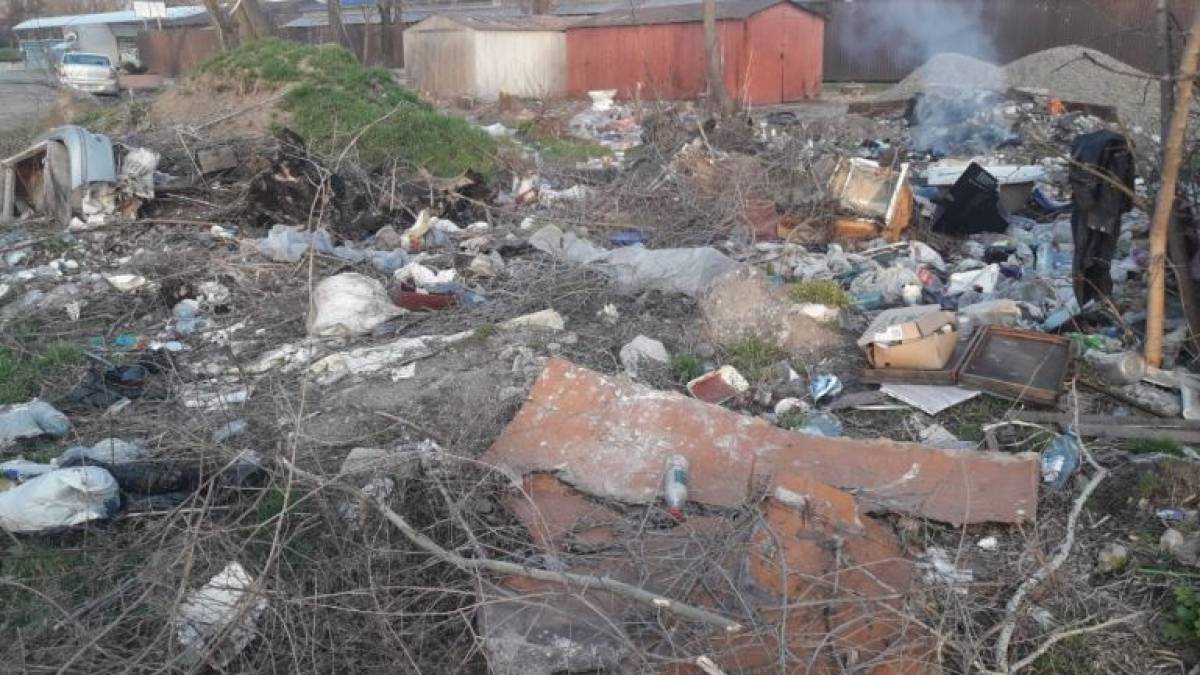 Скільки несанкціанованих звалищ віявлено та ліквідовано у Запоріжжі