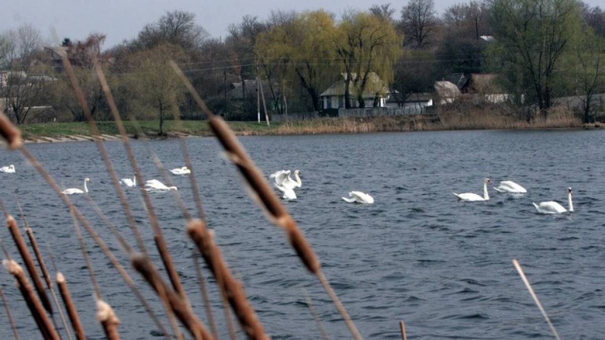 Україна приєднається до місії ЄС «Restore Our Ocean and Waters»