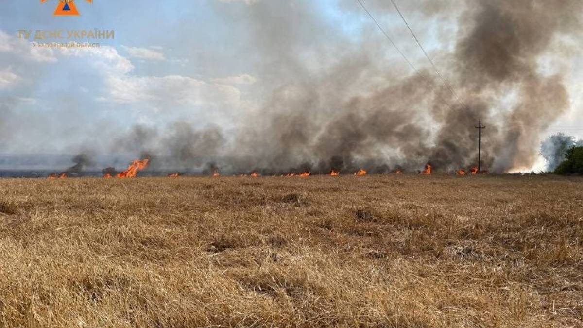 На Запоріжжі внаслідок ворожих обстрілів сталися 4 пожежі на полях з пшеницею