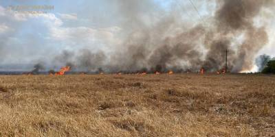 На Запоріжжі внаслідок ворожих обстрілів сталися 4 пожежі на полях з пшеницею