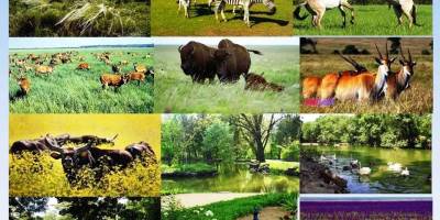 http://genichesk-rda.gov.ua/?p=27922