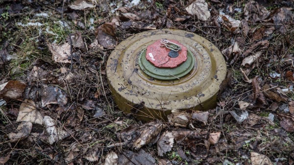 У Мелітопольському районі окупанти мінують засіяні поля