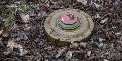 У Мелітопольському районі окупанти мінують засіяні поля