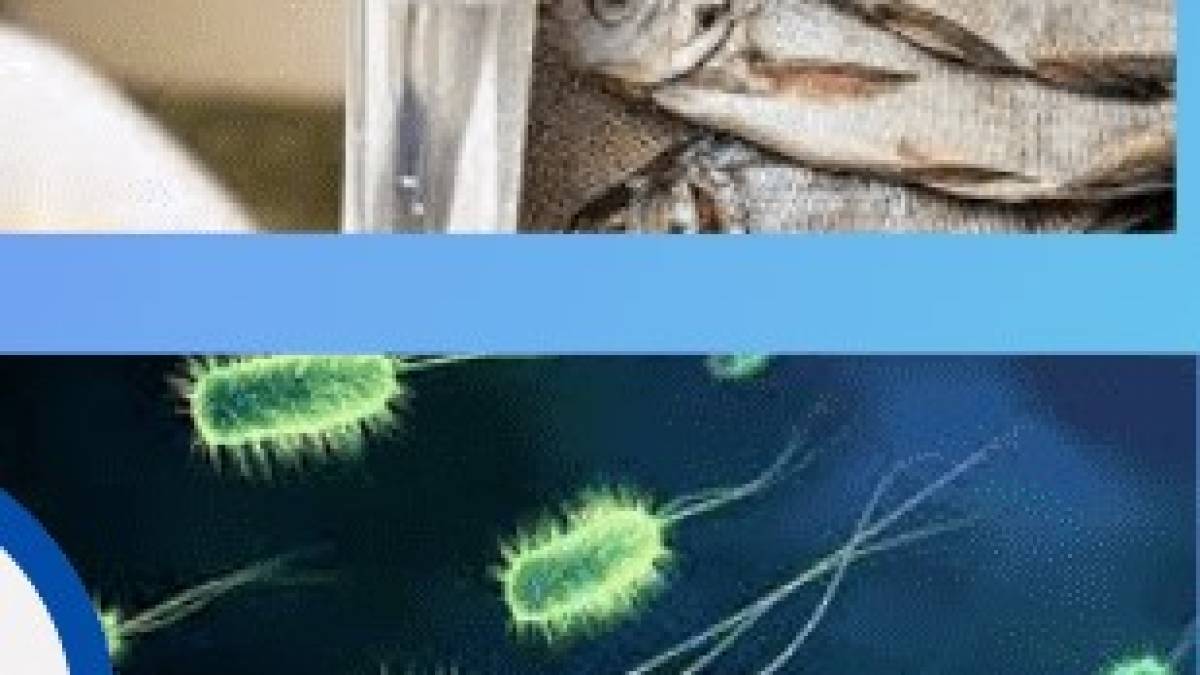У Запорізькій області жінка поїла риби та потрапила в лікарню з ботулізмом, подробиці