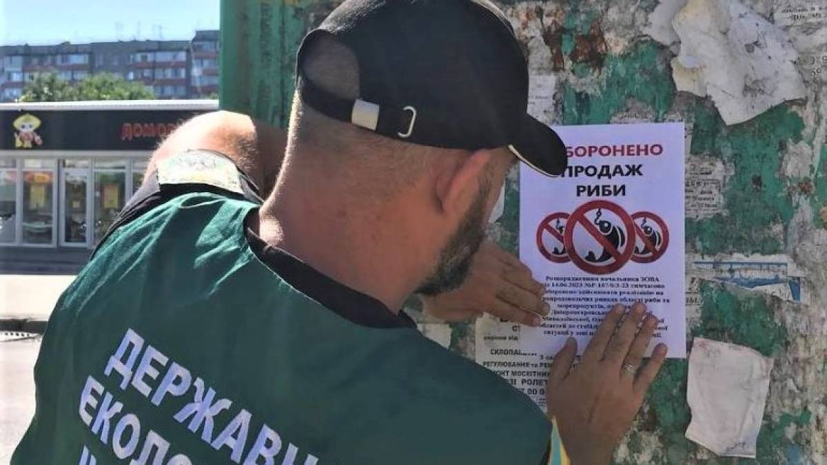 Запоріжцям нагадують: тимчасово продаж риби з певних регіонів заборонено