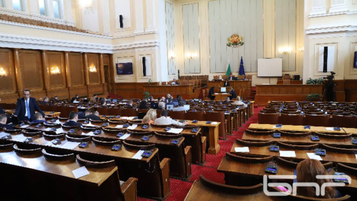 Снимка: Ани Петрова