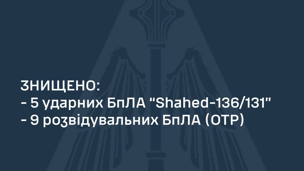Повітряні сили — про нічну атаку дронів на Україну