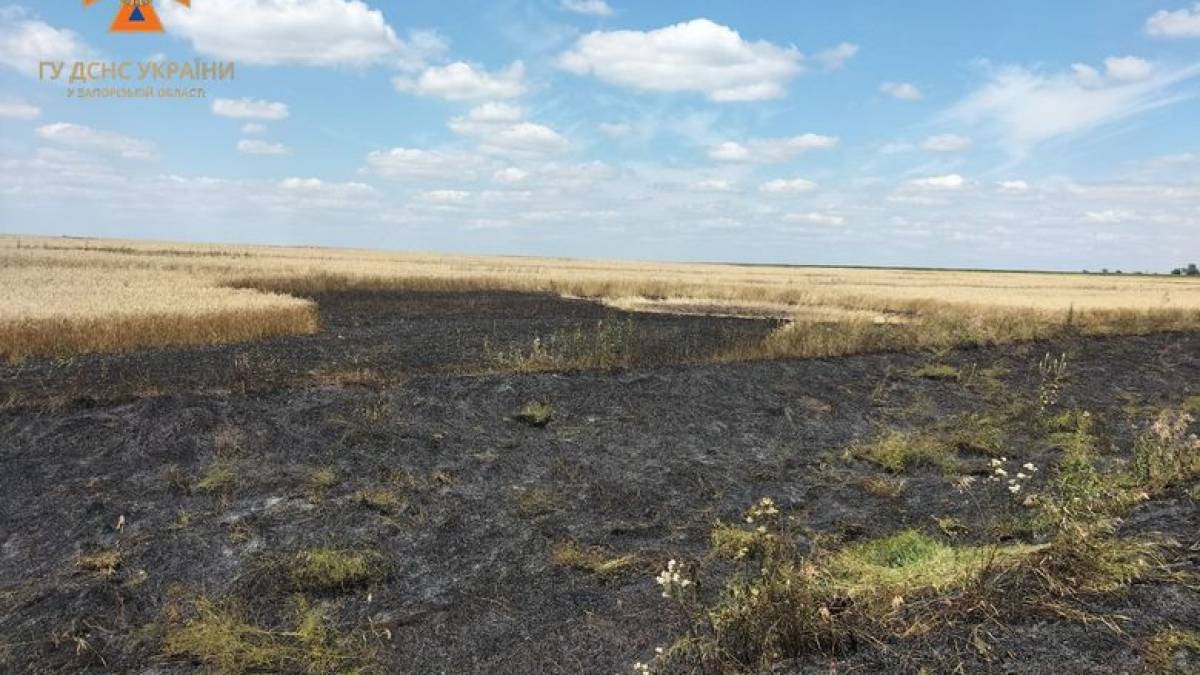 На Запоріжжі внаслідок ворожого обстрілу сталася пожежа на хлібному полі