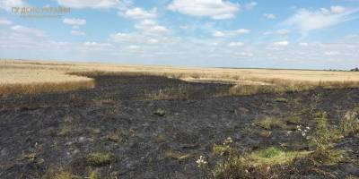 На Запоріжжі внаслідок ворожого обстрілу сталася пожежа на хлібному полі