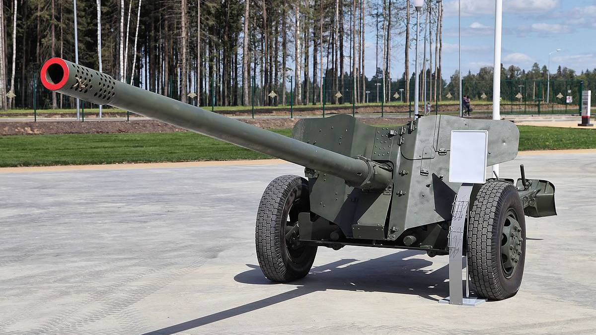 На Запорізькому напрямку наші піхотинці затрофеїли російську «Рапіру»
