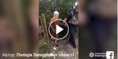 Запорожские полицейские вывезли из-под обстрелов 84-летнюю бабушку (видео)