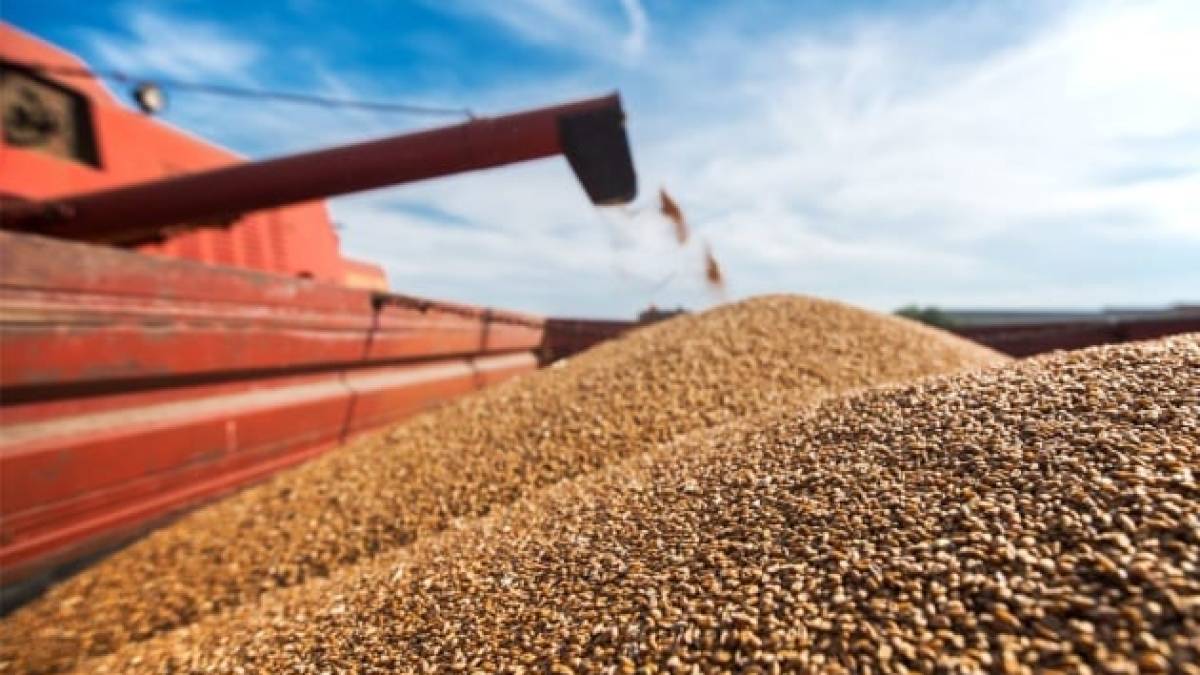 Рашисти змушують запорізьких фермерів продавати зернові за безцінь
