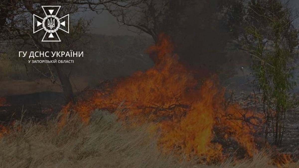 У Запорізькій області внаслідок ворожого обстрілу загорілося поле ячменю