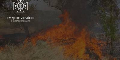 У Запорізькій області внаслідок ворожого обстрілу загорілося поле ячменю