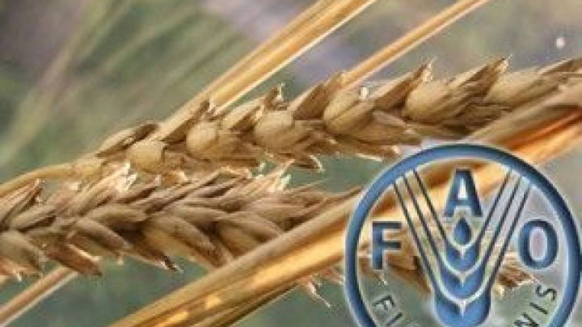 Запоріжжя: фітосанітарна безпека та сертифікація