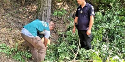 На Запоріжжі затримали громадянина, який знищував дерева