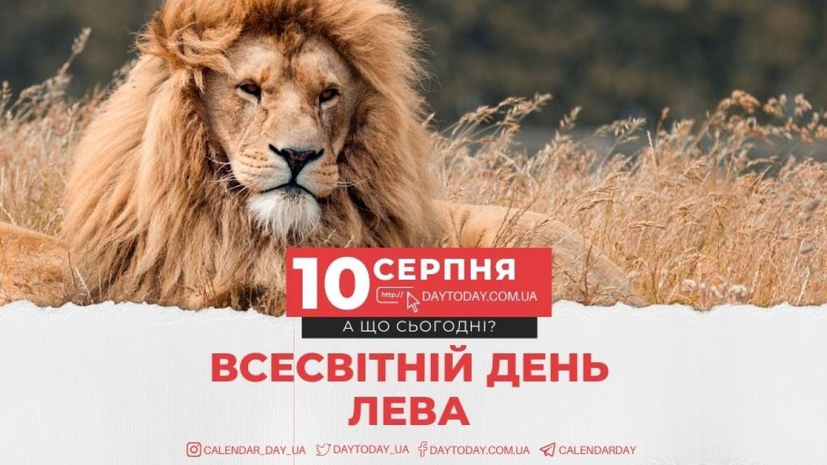 10 серпня в історії України та світу — Всесвітній день лева