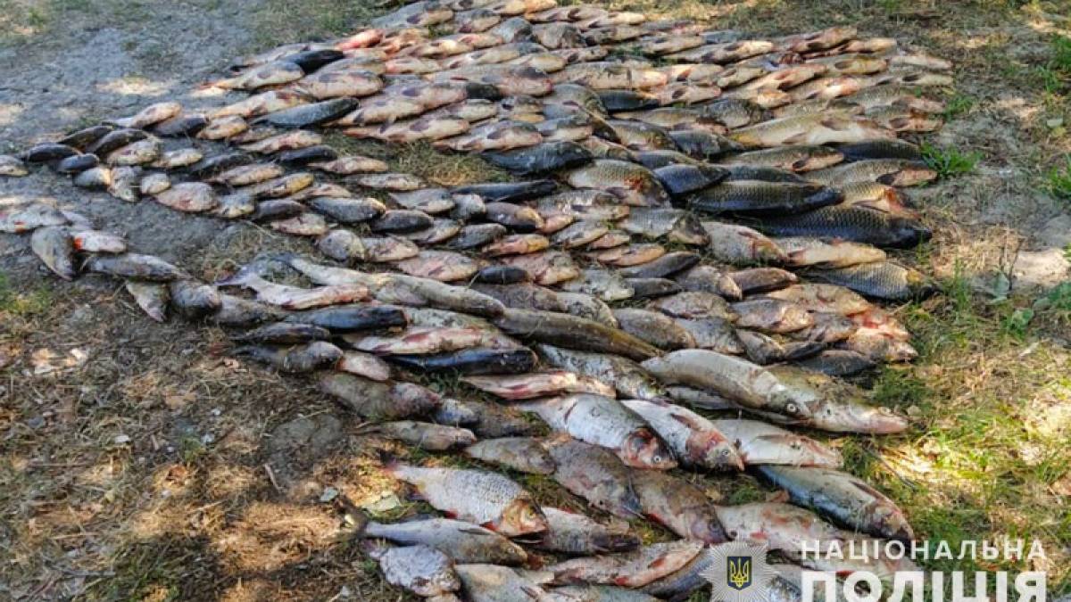 На Запоріжжі поліцейські затримали трьох браконьєрів, які наловили риби на півмільйона гривень – фото