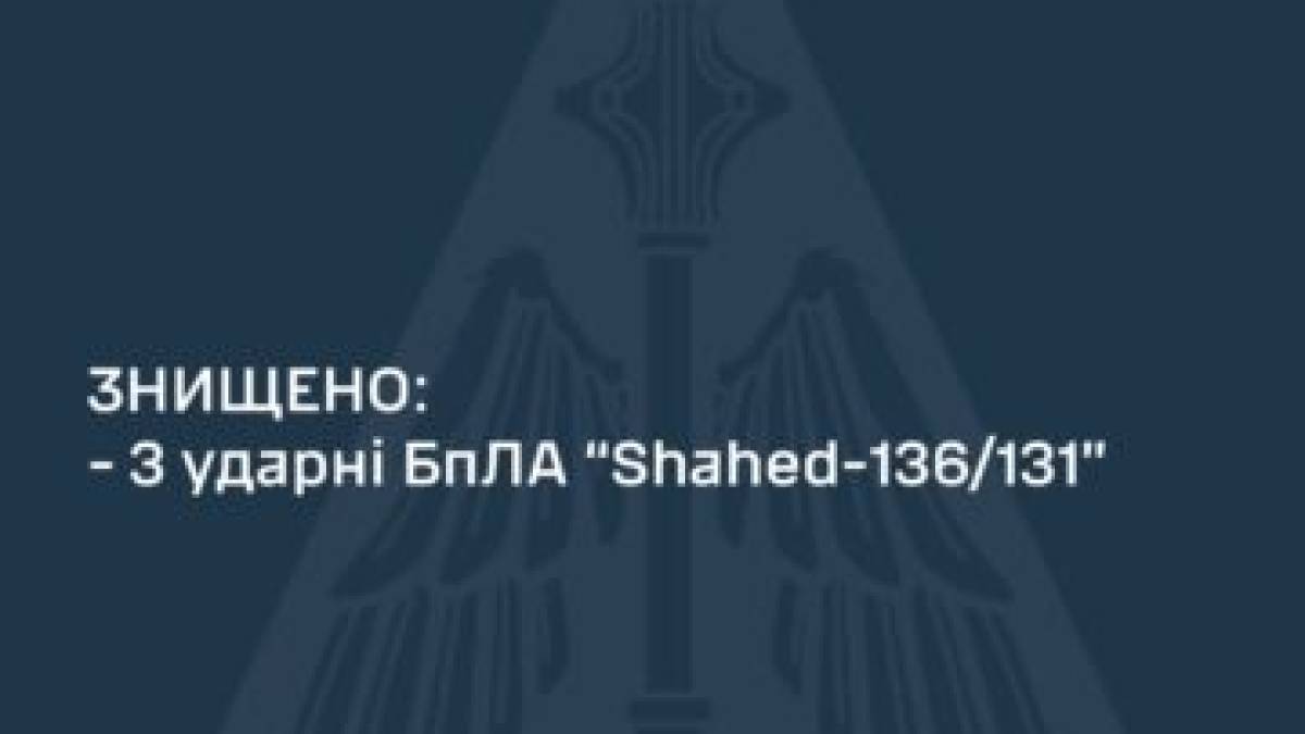 У Запорізькій області вночі знищено три російські ударні дрони