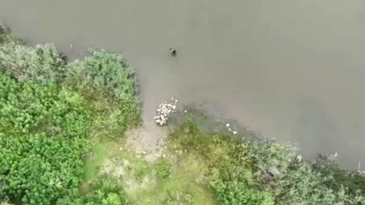 На Запорізькому напрямку російський солдат переплив водойму, щоб здатися у полон