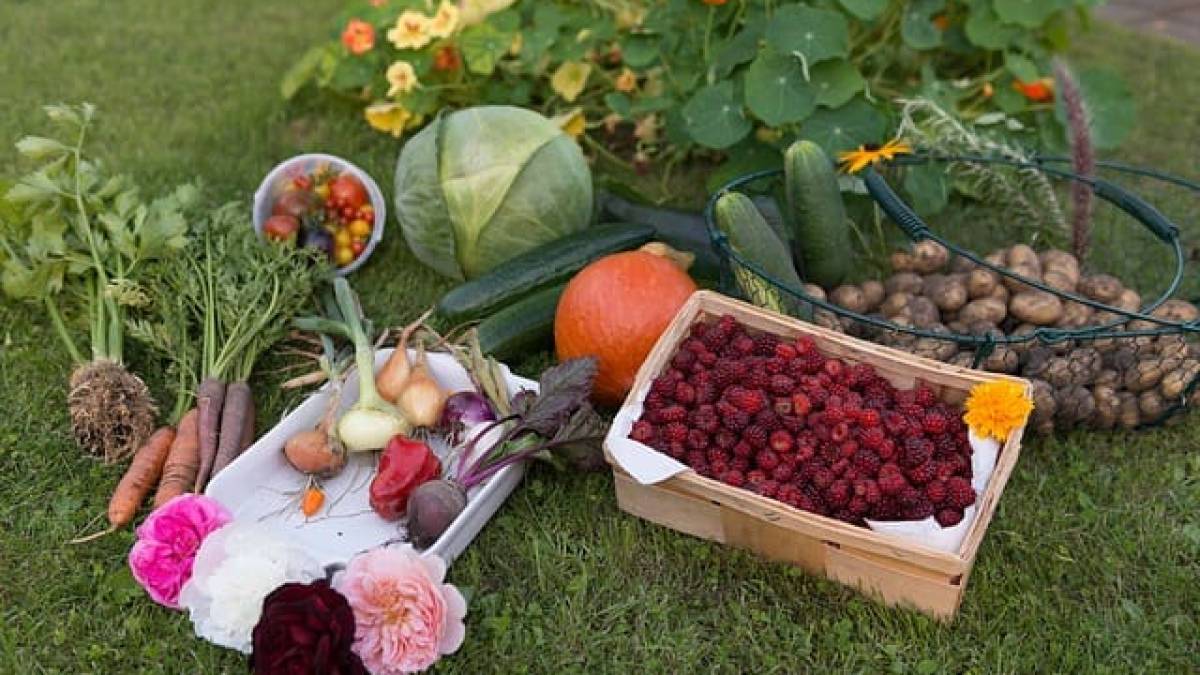 Народне свято 13 серпня: ще дозволено їсти м’ясо, яйця і молочні продукти