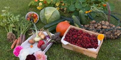 Народне свято 13 серпня: ще дозволено їсти м’ясо, яйця і молочні продукти
